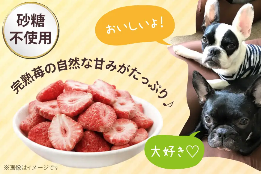 ペットフード 犬用のいちごのおやつ ドライ苺 15g 10袋