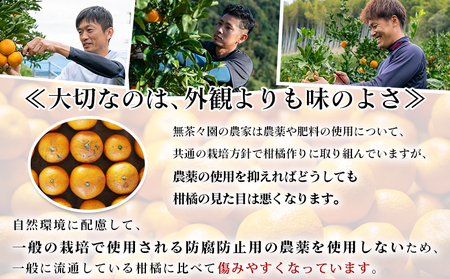先行予約 ＜無茶々園の伊予柑 約7kg＞ 果物 いよかん イヨカン みかん ミカン 蜜柑 柑橘 フルーツ 選べる内容量 期間限定 季節限定 特産品 愛媛県 西予市【常温】『2027年1月中旬～2月中旬に順次出荷予定』AMC0019