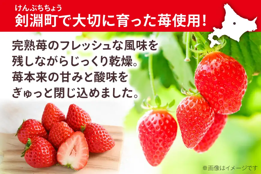 ペットフード 犬用のいちごのおやつ ドライ苺 15g 2袋