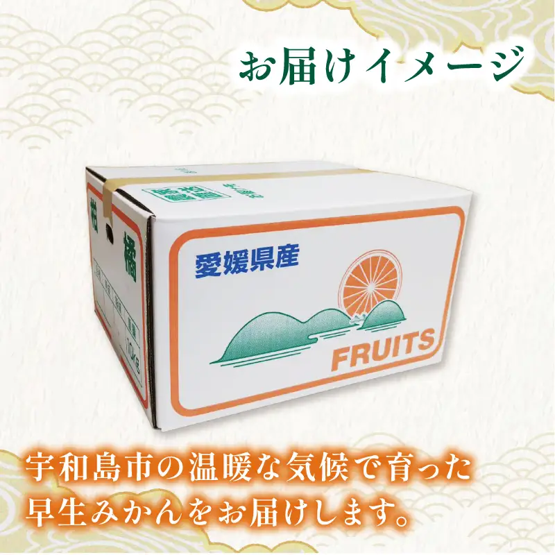 【 みかん 】 訳あり 早生みかん 約10kg 平山農園 B010-211003