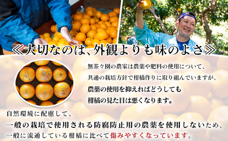 先行予約 ＜無茶々園のポンカン 約7kg＞ 果物 くだもの フルーツ ぽんかん みかん 蜜柑 柑橘類 かんきつ 旬 甘い 濃厚 新鮮 期間限定 季節限定 産地直送 特産品 愛媛県 西予市 【常温】『2027年1月～2月中旬に順次出荷予定』AMC0021