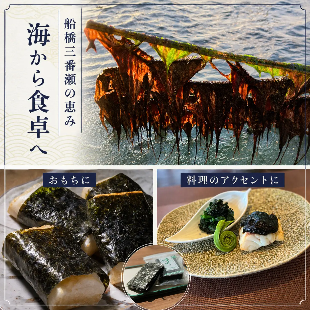 海苔専門店の定期便