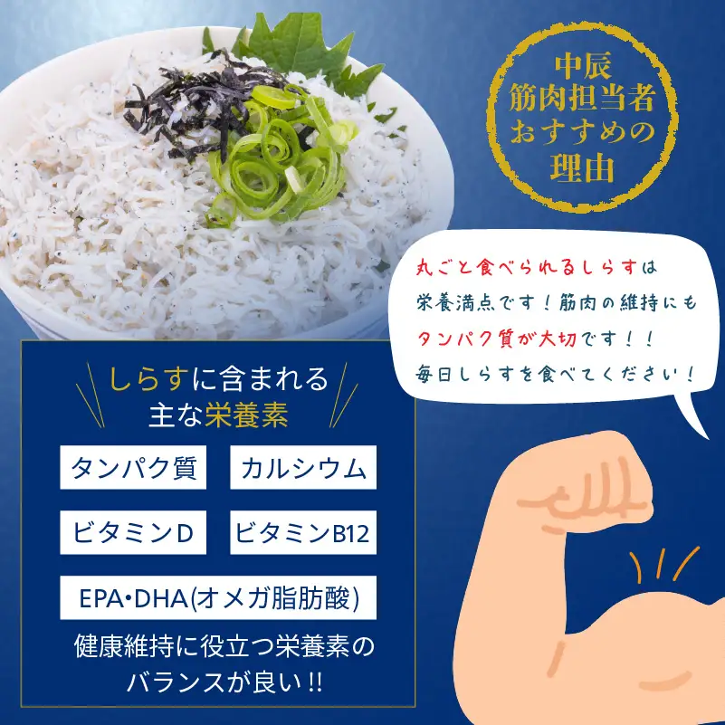 しらす 1.4kg 贈答用 小分け | 米 に合う 釜揚げしらす 【NKT006】