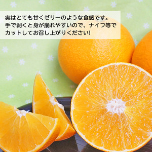 「まどんな」4kg（数量限定） MMO0001