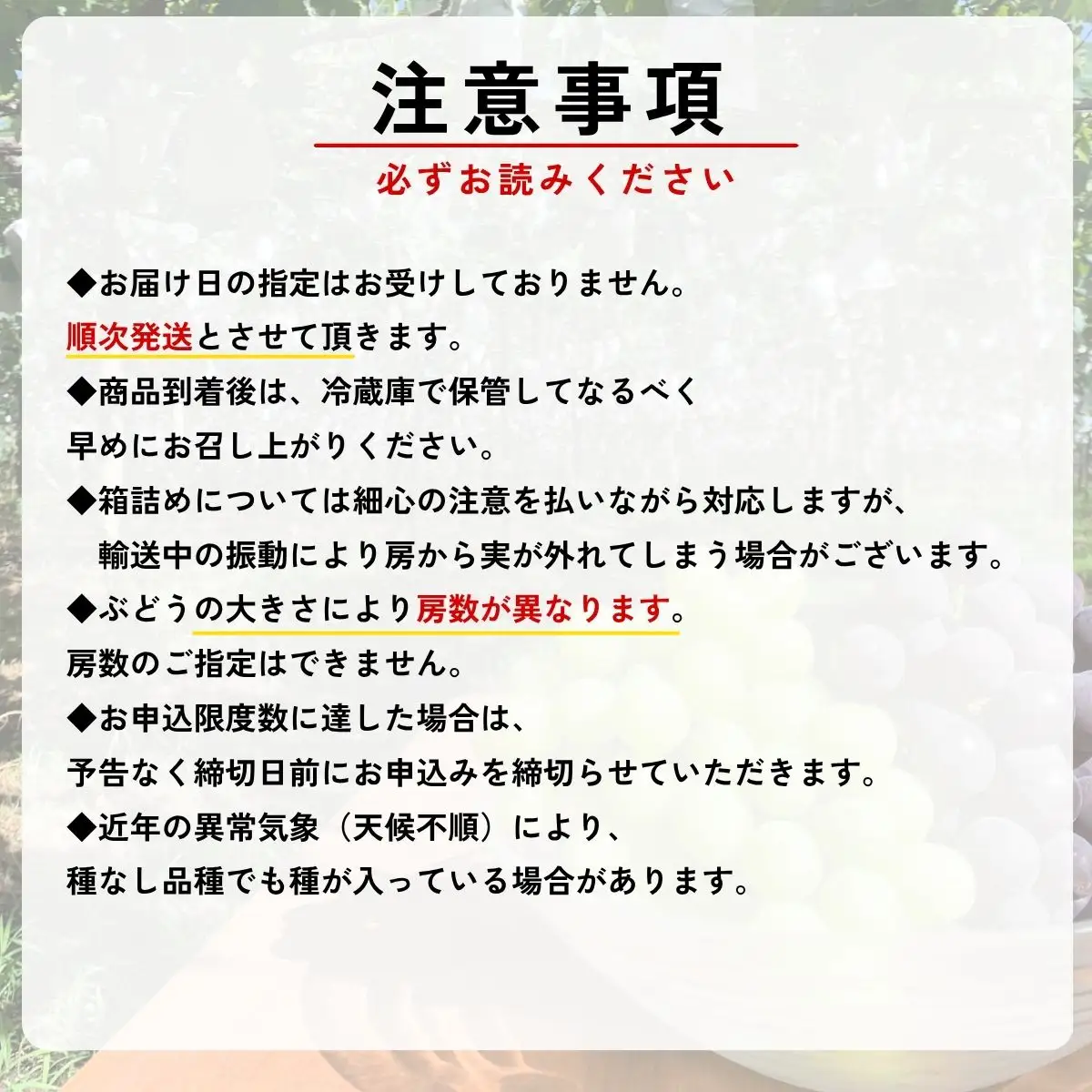 【農家直送（収穫日に発送）】訳アリ シャインマスカット 1.3kg (2房) 訳あり