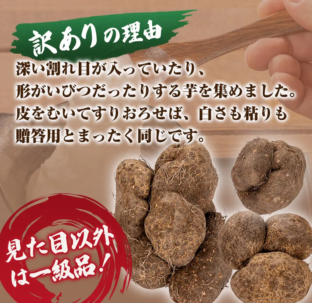 【予約受付】 すり下ろすとわかる粘りと白さ！四万十の山の芋・くろ姫　訳あり　2キロ／Org-10 山芋 とろろ 長いも 野菜