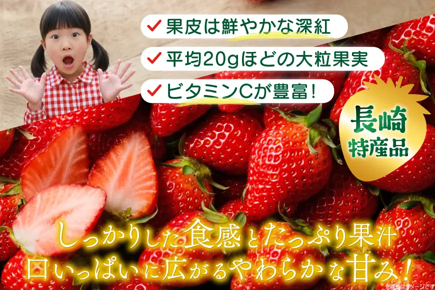 いちご 大粒 先行予約 長崎 ゆめのか 約 1kg