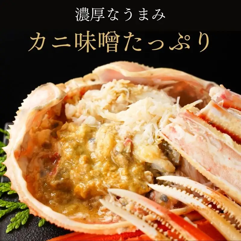 【訳あり・先行予約】本ズワイガニ 3～5杯 計1.5㎏以上 姿 糸魚川産 浜茹で 鮮度が命！茹でたて直送 日本海 磯貝鮮魚店 ずわいがに かに 蟹 新潟 新鮮 ボイル 茹でガニ カニ かに 新潟県 糸魚川市 訳アリ 蟹 カニ