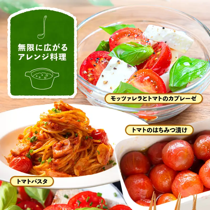 【2026年12月発送】フルーツミディトマト 1kg  トマト 野菜 [m37-a024_12]