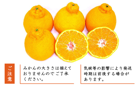 愛媛県明浜産 不知火【完熟】（4.0kg） ATI0023