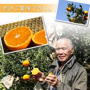 山徳農園 西宇和産せとか 5kg MYT0005