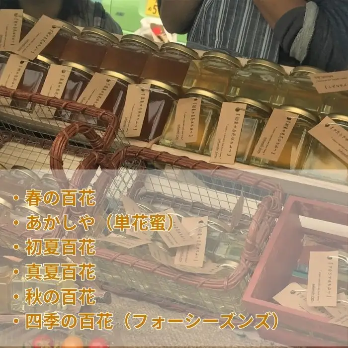 信州さらしな 自然養蜂！純粋生蜂蜜3種 季節の詰め合わせセット｜はちみつ