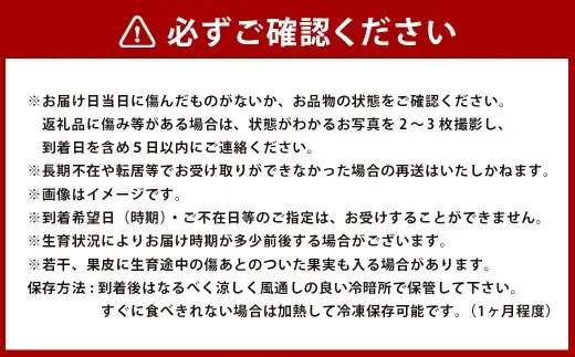【年3回定期便】アールスメロン2玉入り(化粧箱入り) 【2027年4月上旬から6月下旬発送】メロン 果物 くだもの フルーツ 果実 果汁 デザート 定期便 年3回 熊本県 熊本県産