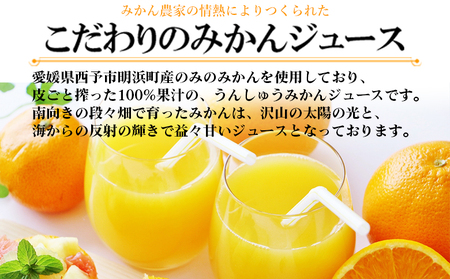 ＜明浜みかんジュース ムテンカ 720ml×12本入り E-12＞ 温州みかん ミカンジュース オレンジジュース ソフトドリンク あけはまシーサイドサンパーク 贈答用 愛媛県西予市【常温】『最短10営業日以内に順次発送予定』 AAS0008