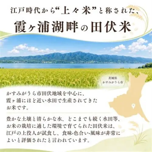 令和8年産 新米 田伏米のコシヒカリ 精米 10kg(1袋) | こしひかり お米 かすみがうら市【1778893】