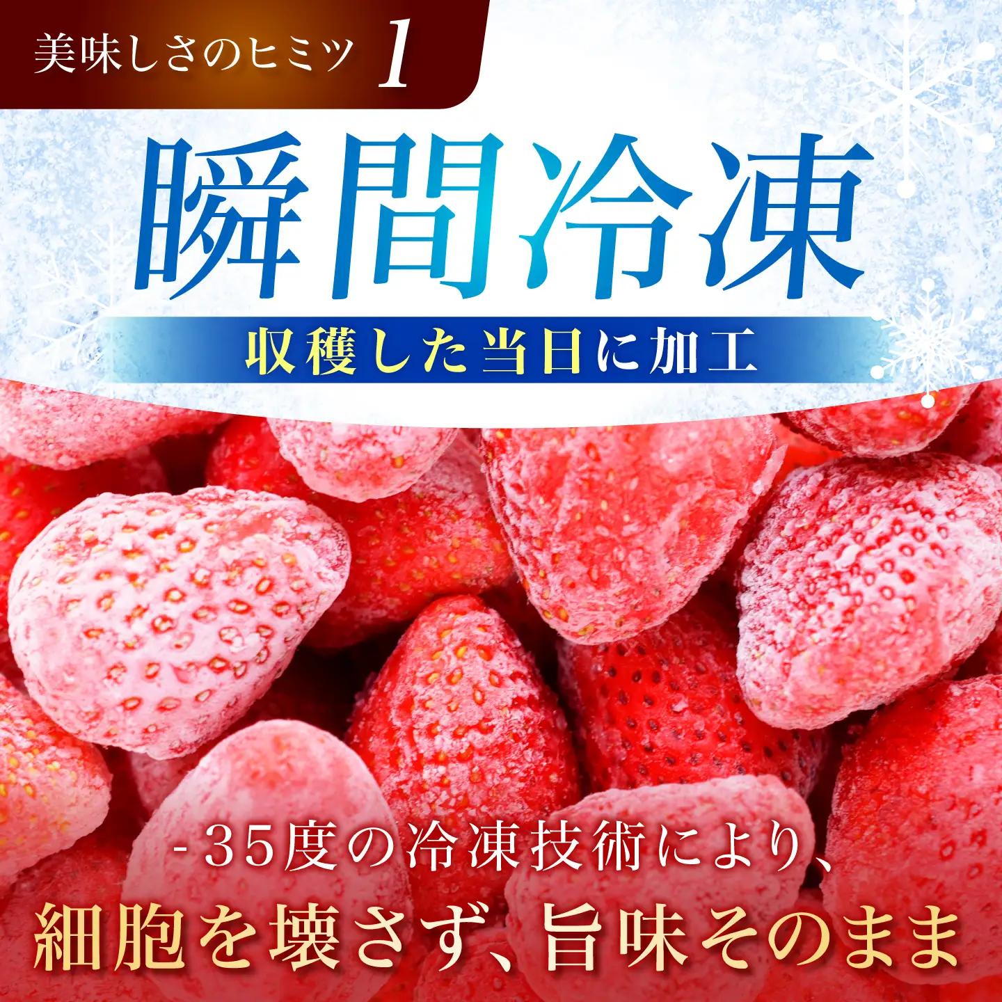 瞬間冷凍いちご [TCI005] いちご