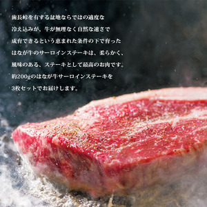 熟成肉はなが牛 サーロインステーキ UYB0006