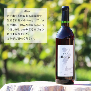 光ワイン（「赤」2本セット） UHN0001