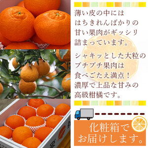 ＜愛媛県西予市産 甘平 約4kg＞ フルーツ 果物 柑橘 かんぺい みかん ミカン 蜜柑 贈答用 化粧箱 ギフト対応 南予園芸 特産品 愛媛県 西予市 【常温】『2026年2月上旬～3月下旬迄に順次出荷予定』UNE0008