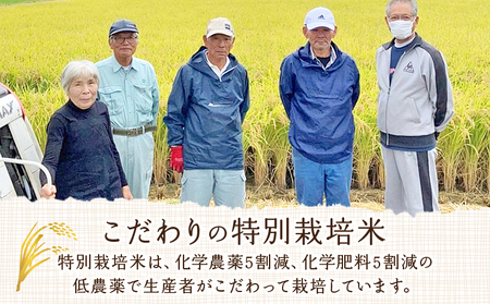 ＜令和7年産 西予市宇和町産 特別栽培米コシヒカリ 10kg＞ お米 コメ こめ 白米 精米 ご飯 白飯 ごはん ライス 穀物 こしひかり コシヒカリ 朝食 低農薬 特産品 愛媛県産 西予市産 宇和町産 三好フク 愛媛県 西予市 【常温】『1か月以内に順次出荷予定』UMH0003