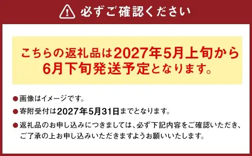 熊本県産 肥後グリーンメロン 2玉  メロン くだもの 果物 フルーツ 【2027年5月上旬から6月下旬発送予定】