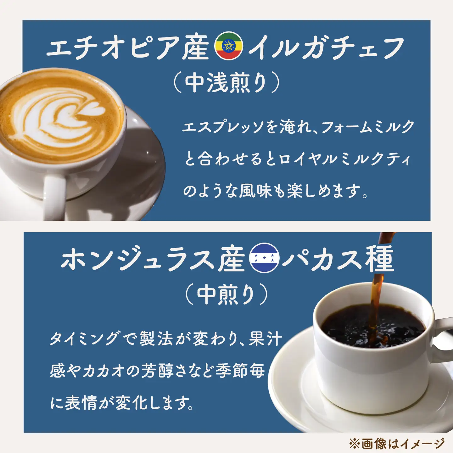コーヒードリップバッグセット5個【THE FIVE☆BEANS】[ASCS004]