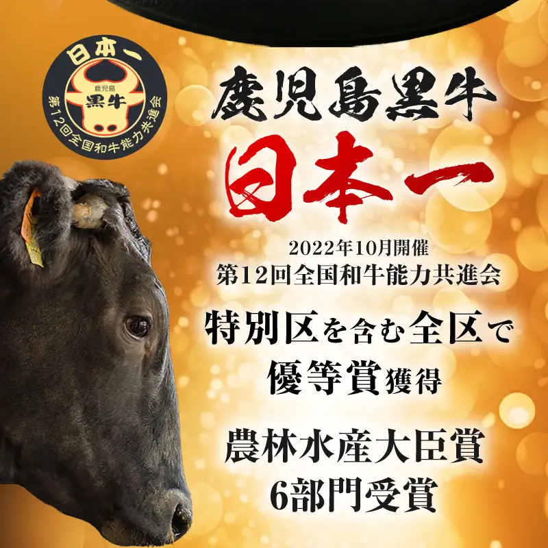 R-701 鹿児島黒牛 カタロース スライス セット 600g K127-019_01 牛肉 黒毛和牛 和牛 お肉