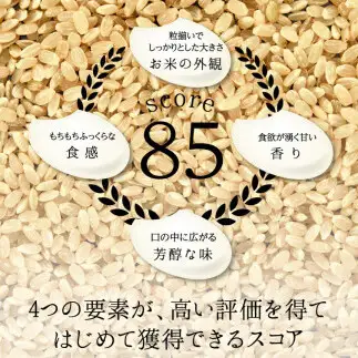 令和8年度　新米 特別栽培米 コシヒカリ ヒロシノキモチ 無洗米 24kg ブランド米 銘柄米 国産 米 お米 日本米 ギフト 贈り物 備蓄 防災 食品 陽咲玲 はるざれ F6T-1057