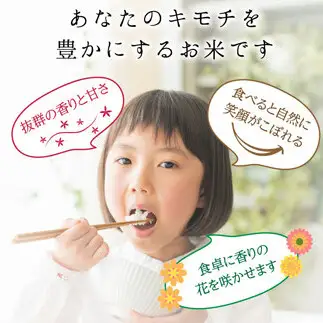 令和8年度　新米 富山県ブランド米 富富富 精米 24kg ふふふ ブランド米 国産 米 お米 日本米 ギフト 贈り物 備蓄 防災 食品 陽咲玲 はるざれ F6T-1059