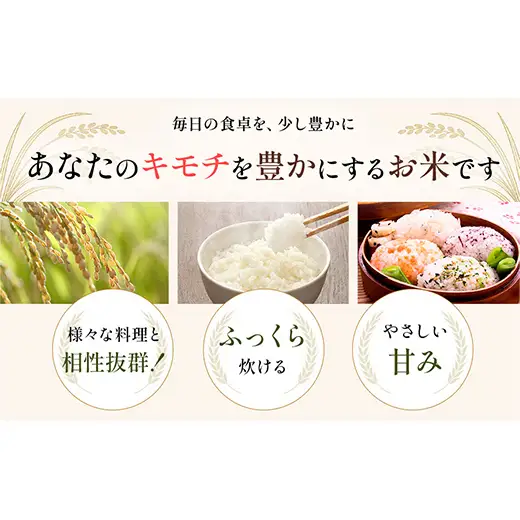 令和8年度　新米 【3回定期】特別栽培米 コシヒカリ ヒロシノキモチ 精米 5kg 総計15kg ブランド米 銘柄米 国産 お米 日本米 ギフト 贈り物 備蓄 防災 食品 陽咲玲 F6T-1031