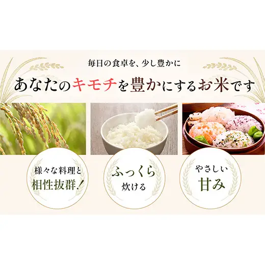 令和8年度　新米【9回定期】特別栽培米 コシヒカリ ヒロシノキモチ 無洗米 10kg 総計90kg 陽咲玲 米 お米 コメ 無洗米 ご飯 ごはん 富山県産 富山県 立山町 F6T-1042