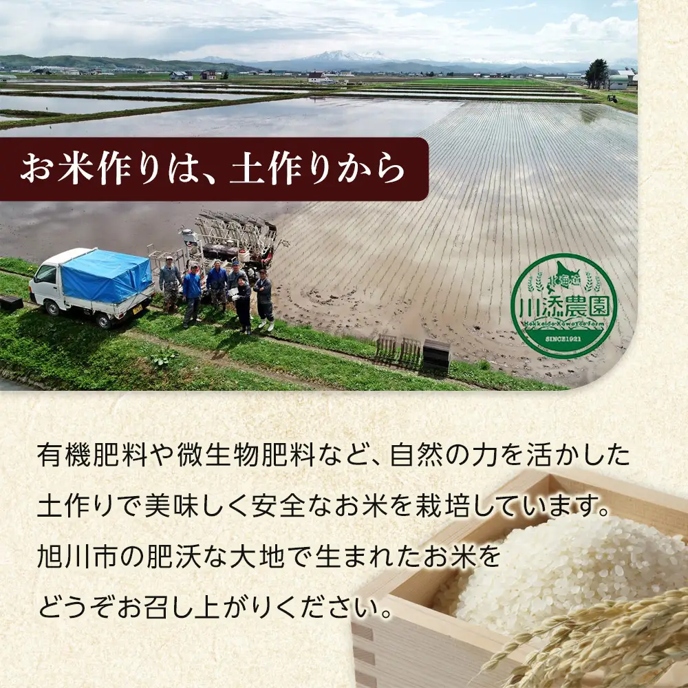 令和8年産 品種おまかせ 無洗米 真空パック 5kg×4袋（合計20kg）_06600