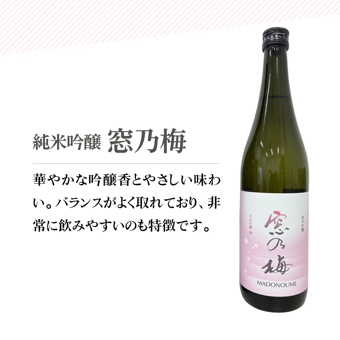 【The SAGA 認定酒】 窓乃梅 飲み比べセット（720ml×2本）【白木酒店】 日本酒 純米酒 四合瓶[HAQ052]