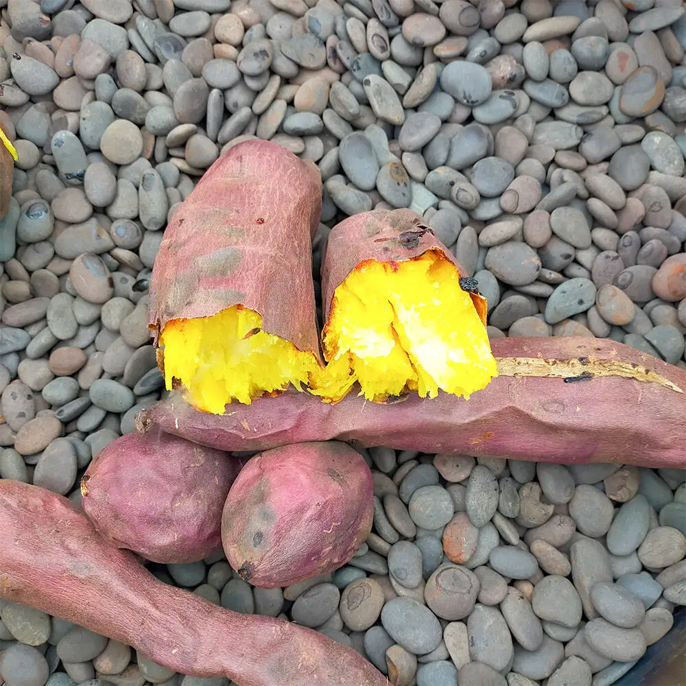 【11月中旬発送・先行受付】ホクホク系のさつまいも 食べ比べ 約4kg 青森県十和田市産