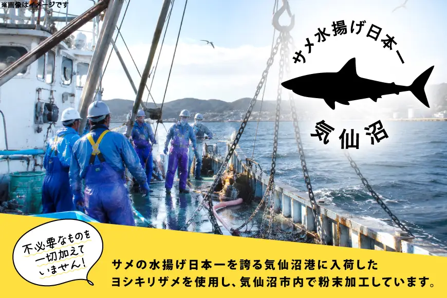 軟骨粉末 サメ 気仙沼産ヨシキリザメ100％ サメの軟骨粉末 100g