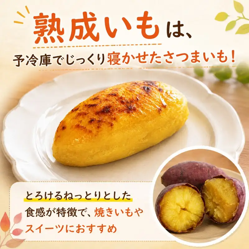 訳あり シルクスイート 2kg　(ご家庭用・追熟あり) [1929] 