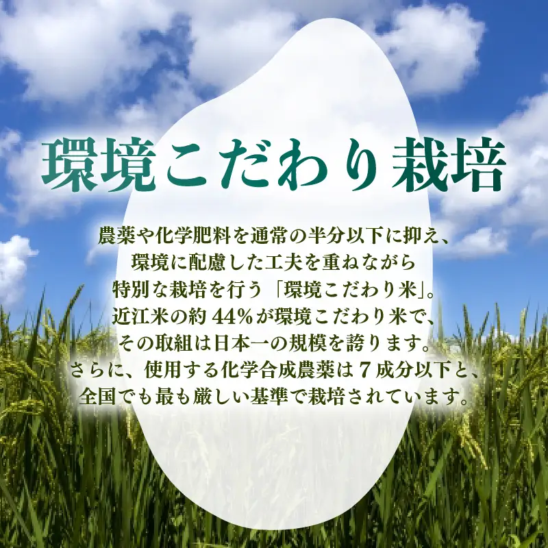 【 令和8年産 】 新米 きらみずき 10kg 減農薬米 近江米 白米 米 滋賀 彦根