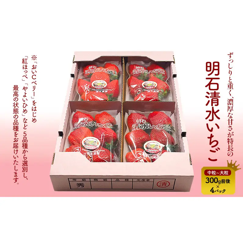 大粒の宝石　『明石清水いちご』300g前後×４パック　イチゴ いちご 果物 フルーツ 兵庫県 明石市