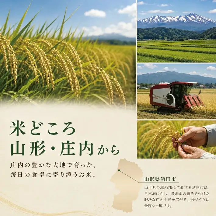 SZ0423　【令和8年産 ★ 新米】 はえぬき【精米】　5kg×1袋　「農家直送」 IN