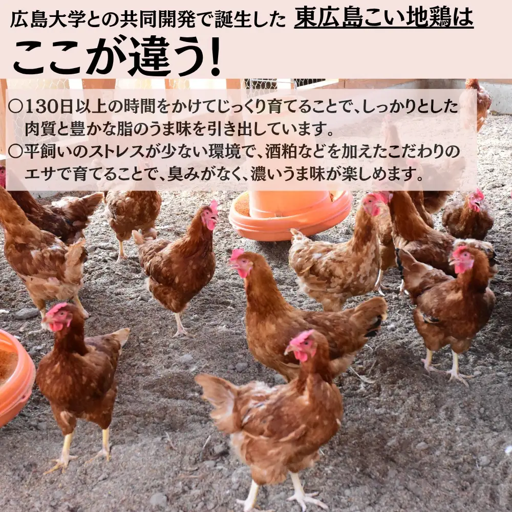 東広島こい地鶏半身セット（地鶏肉　半身＋鶏ガラスープ）【配達不可：離島】