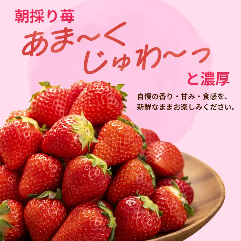 いちご 3回定期 古都華 約500g 250g×2パック 先行予約 高評価 冷蔵配送 フルーツ 果物 旬 産地直送 農家直送 完熟 旬の果物 お取り寄せ おやつ デザート ことか イチゴ 冷蔵 奈良県産 奈良 大和郡山市 BN001