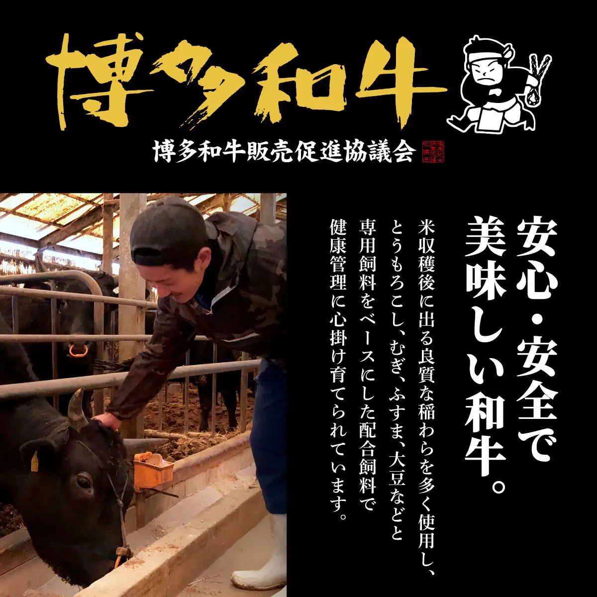 【博多和牛100％】贅沢本格 手ごね ハンバーグ 10個【HD001】