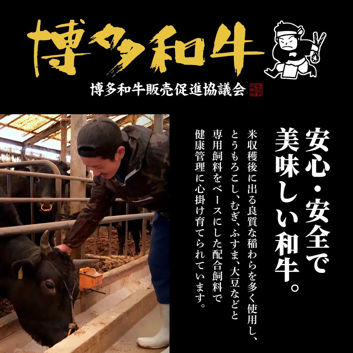 【A4～A5等級】博多和牛 上赤身薄切り 1kg (職人が厳選したうまみ)【HD061】