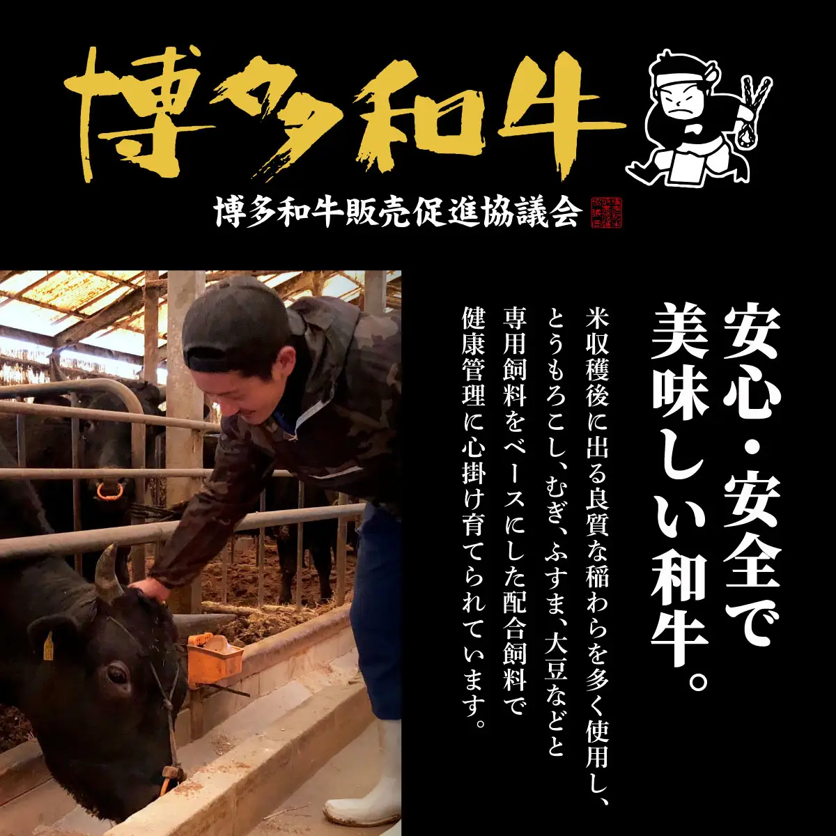 ＜3回定期便＞【博多和牛】サーロイン ステーキ 200g×5枚【HD032】