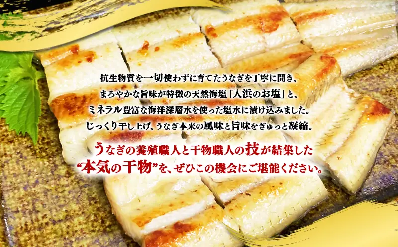 B2-1802／【セット】国産からすみ 訳あり品 片腹1本×5袋（計350g以上）＋うなぎの干物 1尾