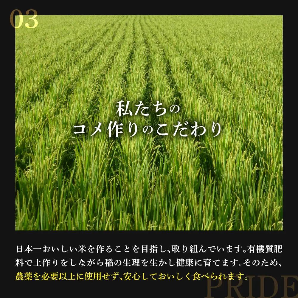 【先行予約】令和8年産 雪若丸 5kg ( 5kg × 1袋 )