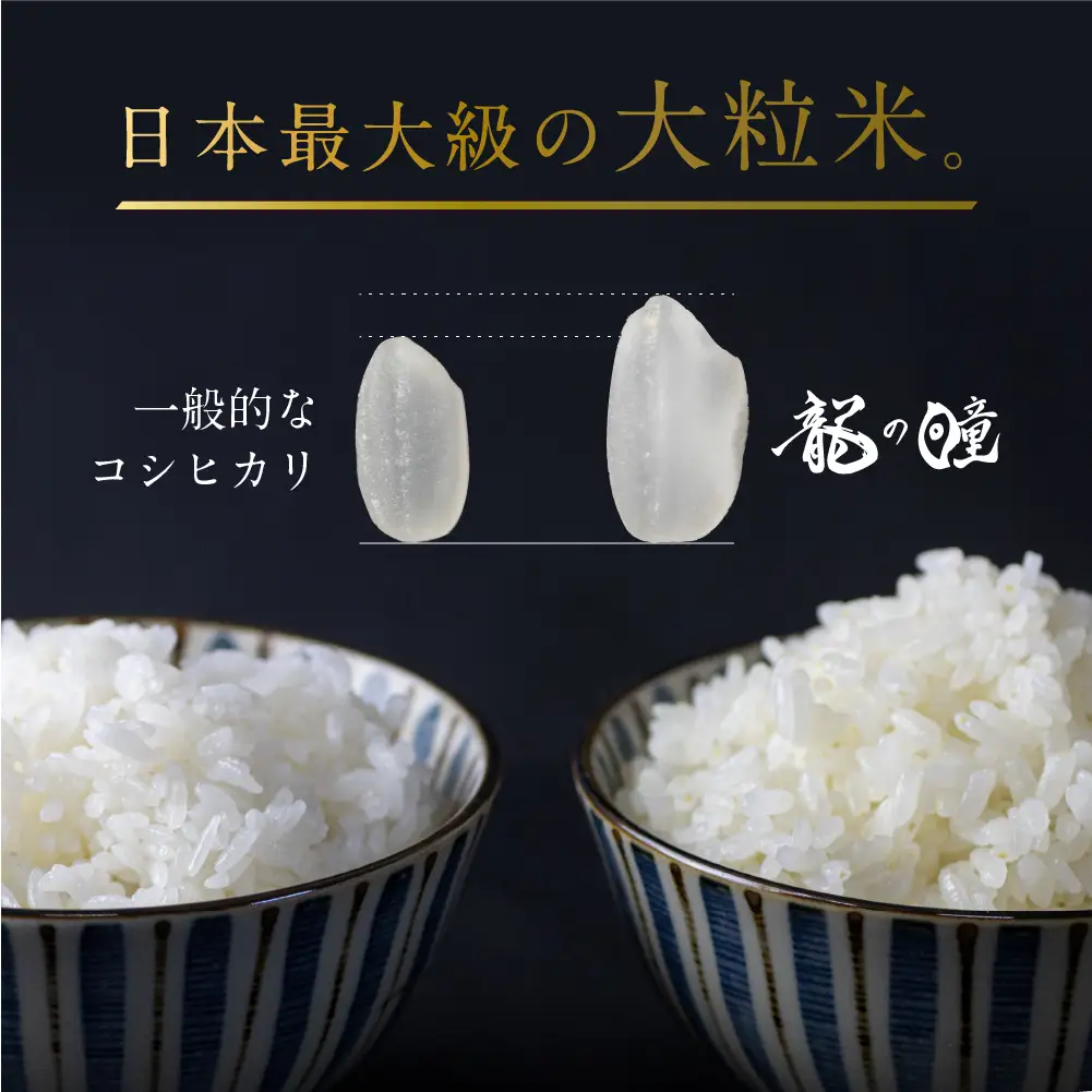 白米 龍の瞳 令和8年産 2kg 飛騨 米