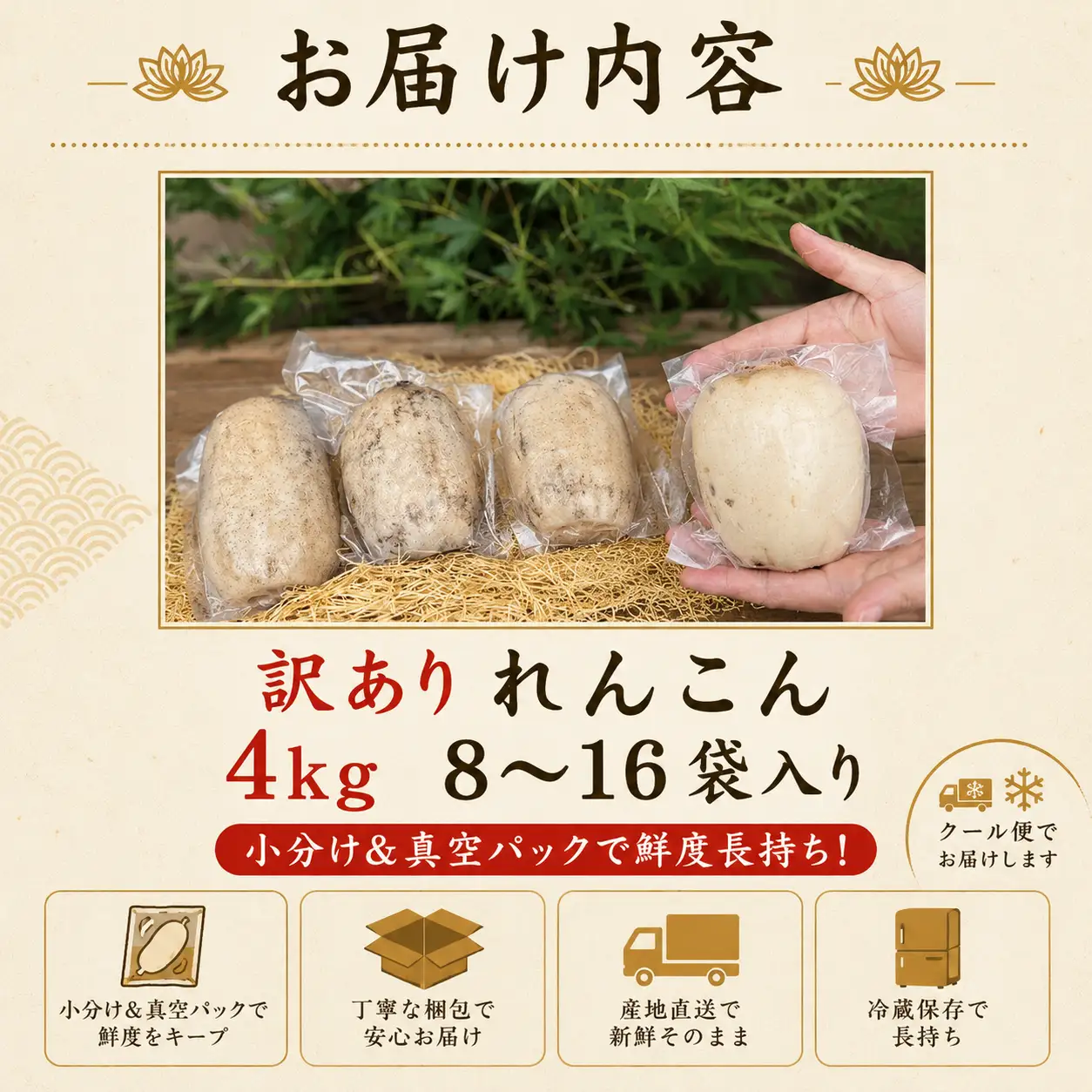 れんこん 訳あり シャキシャキ レンコン 真空パック 小分け | 【れんこん】krn015_X2