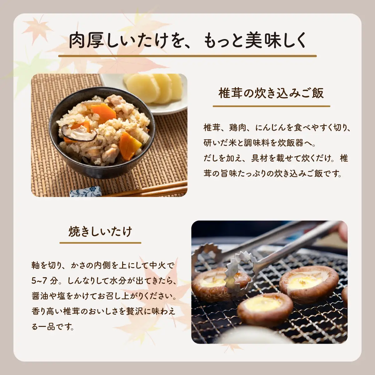 肉厚生しいたけ 1kg   椎茸 しいたけ シイタケ 肉厚 生椎茸 国産 [DL003ya]