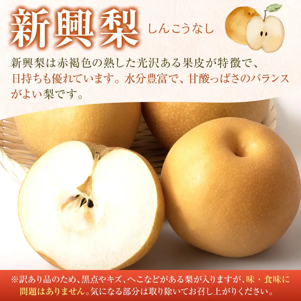 訳あり 数量限定 鳥取県産 新興梨（しんこうなし） 約5kg （8～15玉）≪2026年10月中旬頃出荷≫ 【鳥取県 境港市】